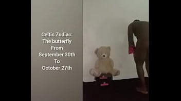 More ways to describe how and why the scorpio zodiac can still be a butterfly although they are a teddy bear a wolf also a boar sometimes as learned from online research for free and for fun