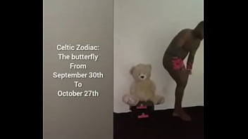 More Ways To Describe How And Why The Scorpio Zodiac Can Still Be A Butterfly Although They Are A Teddy Bear A Wolf Also A Boar Sometimes As Learned From Online Research For Free And For Fun thumbnail