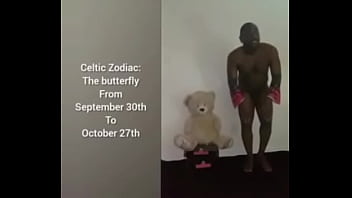 More ways to describe how and why the scorpio zodiac can still be a butterfly although they are a teddy bear a wolf also a boar sometimes as learned from online research for free and for fun