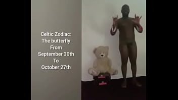 More ways to describe how and why the scorpio zodiac can still be a butterfly although they are a teddy bear a wolf also a boar sometimes as learned from online research for free and for fun