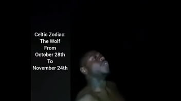 More ways to describe how and why the scorpio zodiac can still be a butterfly although they are a teddy bear a wolf also a boar sometimes as learned from online research for free and for fun