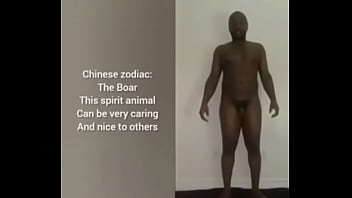 More ways to describe how and why the scorpio zodiac can still be a butterfly although they are a teddy bear a wolf also a boar sometimes as learned from online research for free and for fun