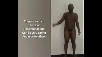 More ways to describe how and why the scorpio zodiac can still be a butterfly although they are a teddy bear a wolf also a boar sometimes as learned from online research for free and for fun