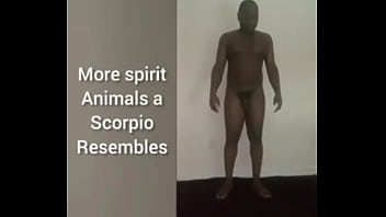 More ways to describe how and why the scorpio zodiac can still be a butterfly although they are a teddy bear a wolf also a boar sometimes as learned from online research for free and for fun