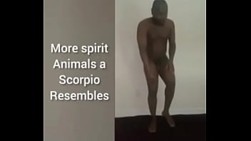 More ways to describe how and why the scorpio zodiac can still be a butterfly although they are a teddy bear a wolf also a boar sometimes as learned from online research for free and for fun