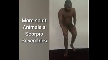 More ways to describe how and why the scorpio zodiac can still be a butterfly although they are a teddy bear a wolf also a boar sometimes as learned from online research for free and for fun