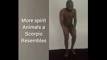 More ways to describe how and why the scorpio zodiac can still be a butterfly although they are a teddy bear a wolf also a boar sometimes as learned from online research for free and for fun