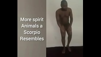 More ways to describe how and why the scorpio zodiac can still be a butterfly although they are a teddy bear a wolf also a boar sometimes as learned from online research for free and for fun