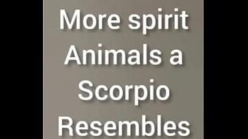 More ways to describe how and why the scorpio zodiac can still be a butterfly although they are a teddy bear a wolf also a boar sometimes as learned from online research for free and for fun