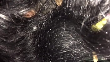 Head from brooklyn thot