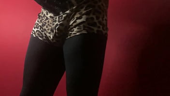 Show de exibição movimentos de strip tease dança sedutora performance de sensualidade e provocação