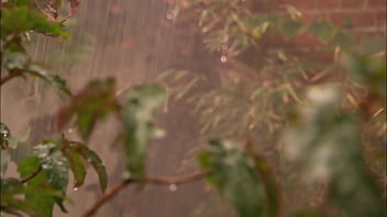 Amy azurra is a fuckfairy