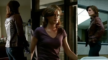 Stana from tv show castle