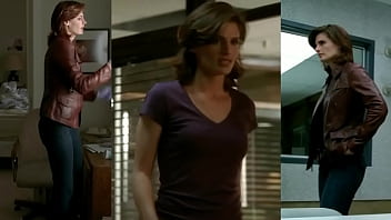 Stana from tv show castle