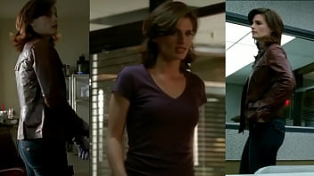Stana from tv show castle