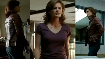 Stana from tv show castle
