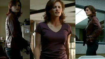 Stana from tv show castle