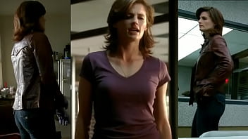 Stana from tv show castle