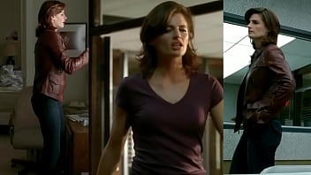 Stana from tv show castle