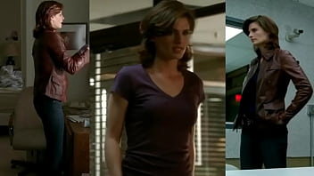 Stana from tv show castle