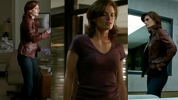 Stana from tv show castle