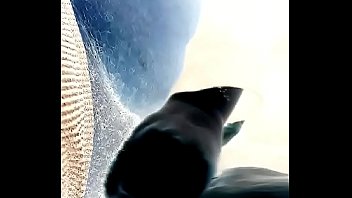 Dick suck in the truck nut in her mouth feels so good