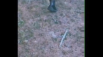 Hey toi tu veux me découvrir un peu plus rejoins moi tu va en prendre plein