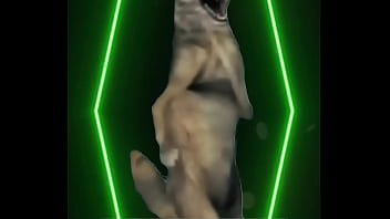 Even the snow queen needs a cheat day cool calm… and a little hungry