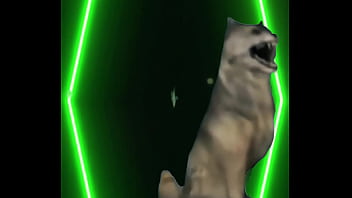 Even the snow queen needs a cheat day cool calm… and a little hungry