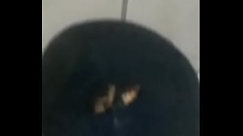 Fim da història de baratas fodendo loucamente vericalmente