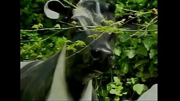 X Cuts Before They Were Superstars 02 Full Movie thumbnail