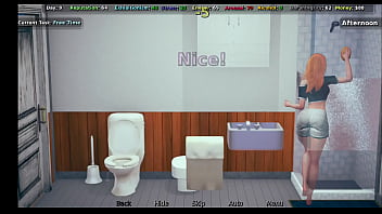 The life of a innocent waitress hebtai game