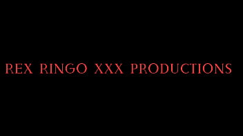 Rex ringo