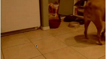 Blonde in panties cooks dinner