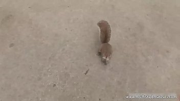 Cute brunette babe having fun