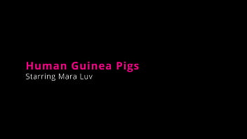 Human guinea pigs mara luv