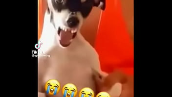 Galit na galit si jun jun