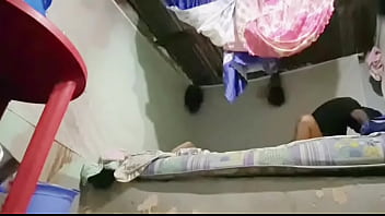 Destruction du chatte