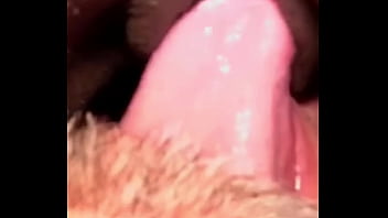 Flowerandlouis update #5 morning after laughs comedy in everyday life jul 13 2024