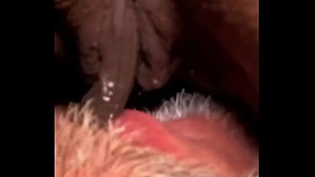 Flowerandlouis update #5 morning after laughs comedy in everyday life jul 13 2024