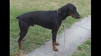 Appealing diva mandy gets mouth a