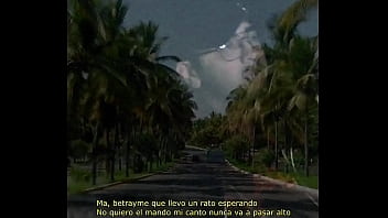 Betray me kube new song released aurorafoc sellofijo 2021