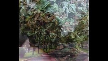 Betray me kube new song released aurorafoc sellofijo 2021