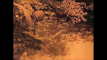 Retro erotic drawings