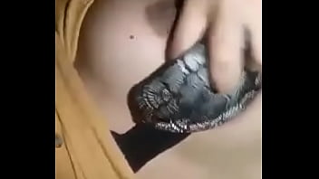 Travesuras en casa 2