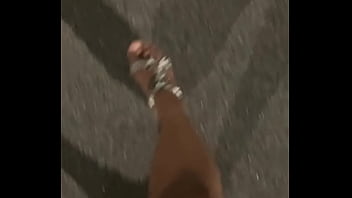 Suckable piggy’s Suckable piggy’s