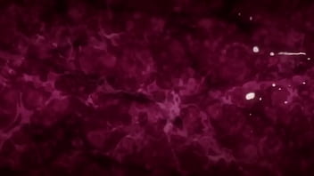 Akane netorare hmv yellowclaw