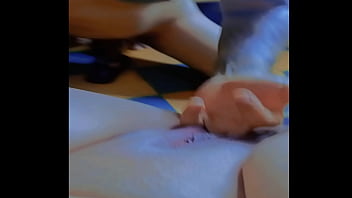 Mi hermanastra se pone lentes para chupar mi verga