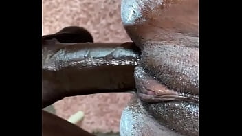 Thanksgiving ebony turkey