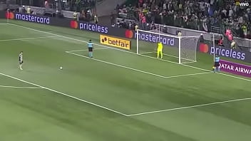 Porco fudendo a galinha